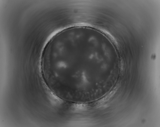 X0000100201278200805301302