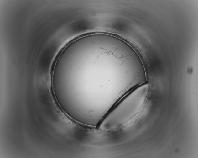 X0000100201280200805301302