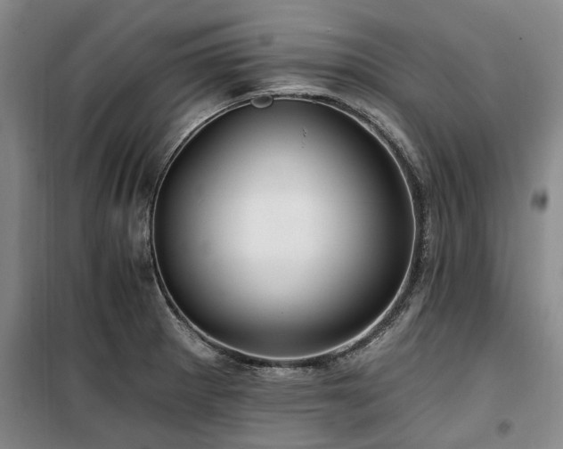 X0000100201281200805301302