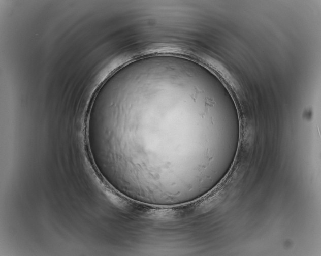 X0000100201282200805301302