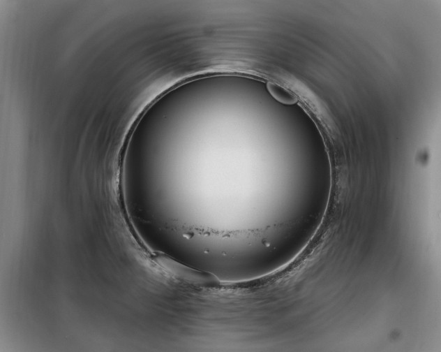 X0000100201284200805301302