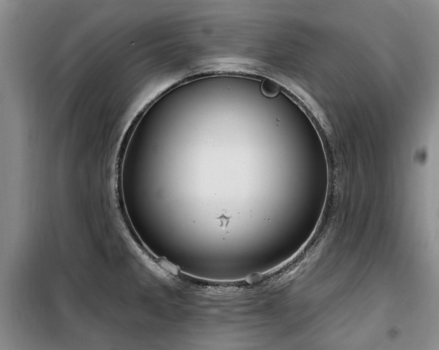 X0000100201285200805301302