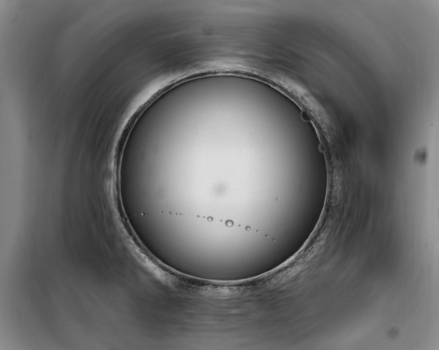 X0000100201286200805301302