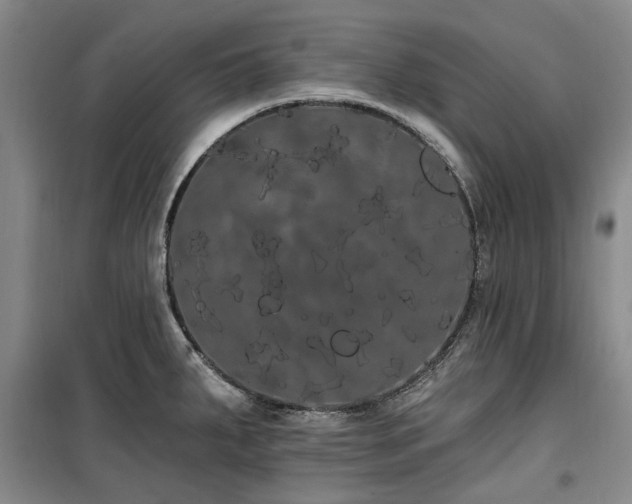 X0000100201287200805301301