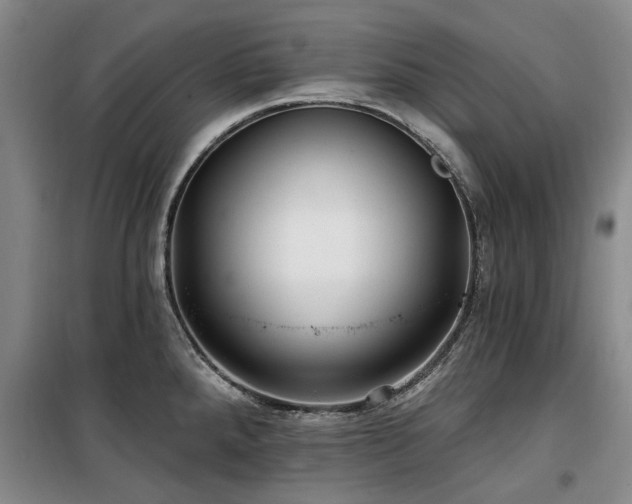 X0000100201288200805301301