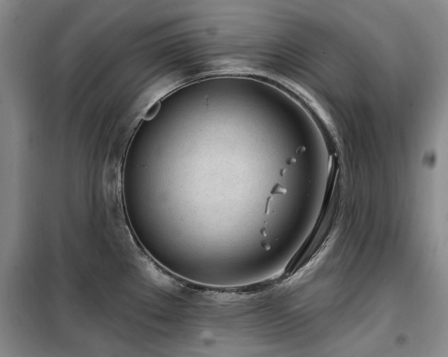 X0000100201289200805301301