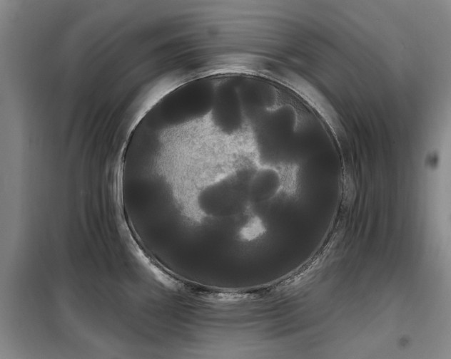 X0000100201290200805301301