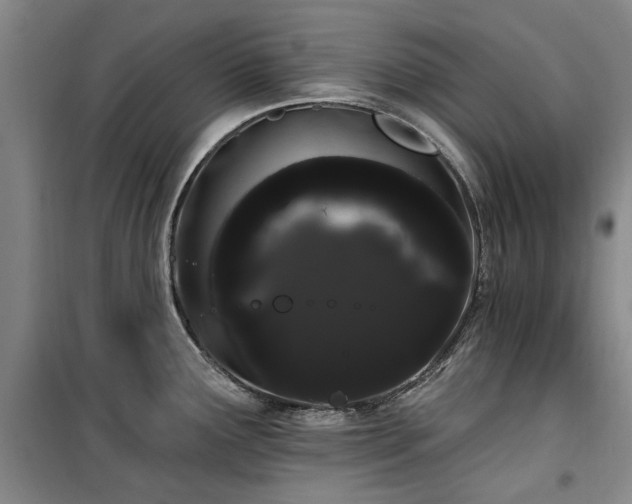 X0000100201291200805301301