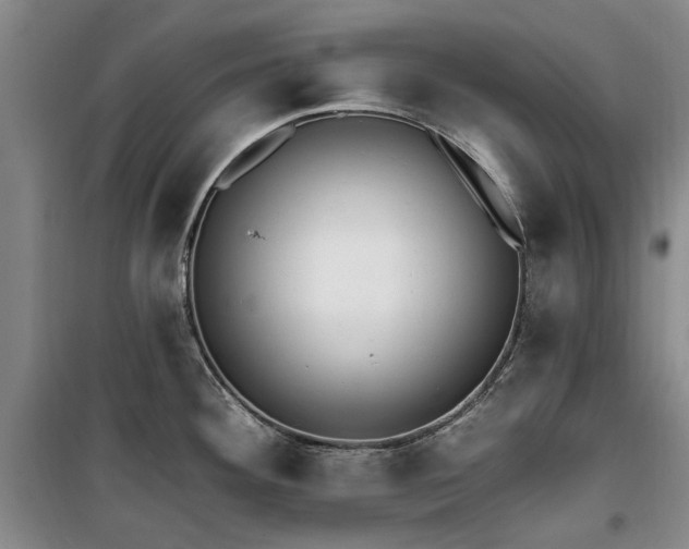 X0000100201292200805301301