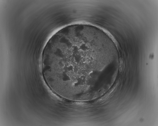 X0000100201295200805301301