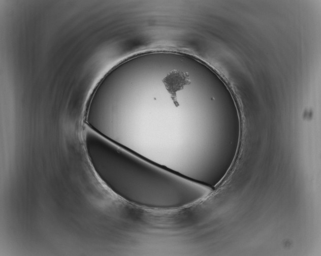 X0000100201296200805301301