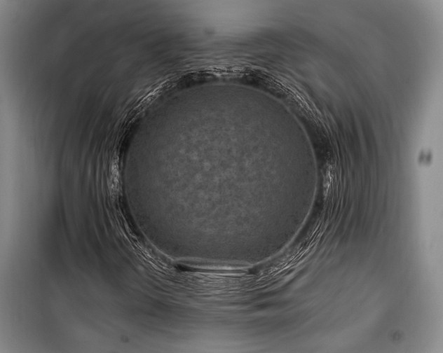 X0000100201298200805301301