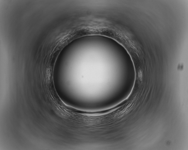 X0000100201300200805301301
