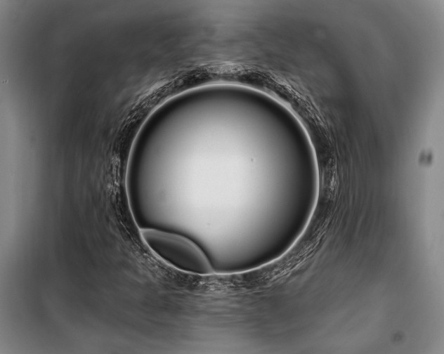 X0000100201301200805301301