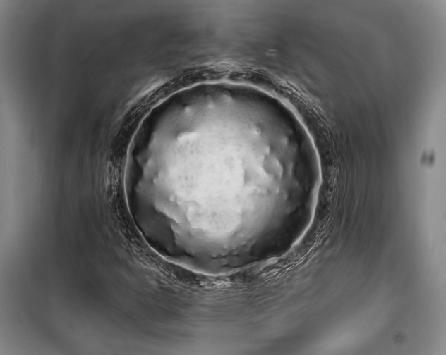X0000100201302200805301301