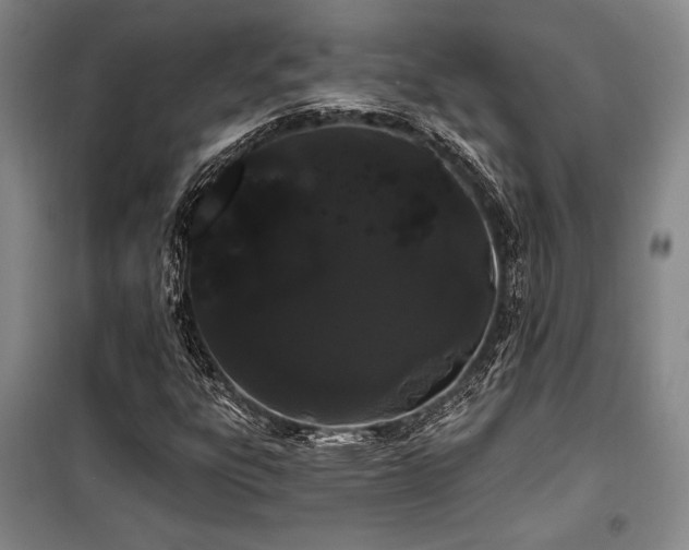 X0000100201303200805301301