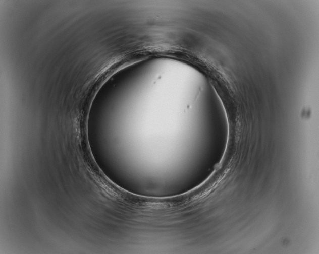 X0000100201305200805301301