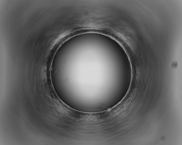 X0000100201307200805301301