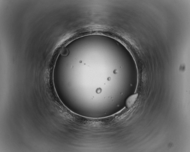 X0000100201309200805301301