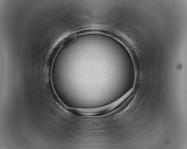 X0000100201310200805301301