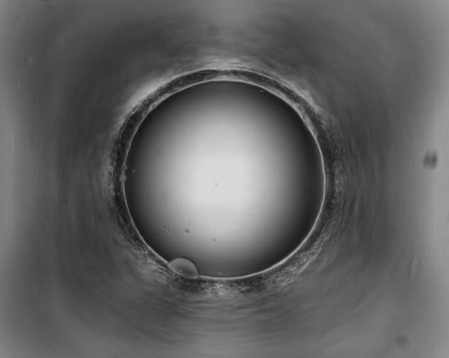X0000100201311200805301301