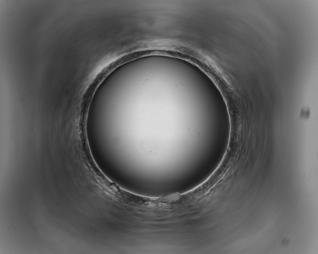 X0000100201312200805301301