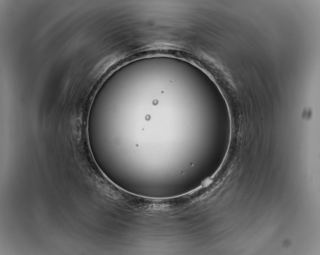X0000100201313200805301301