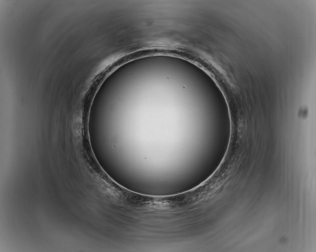 X0000100201315200805301301