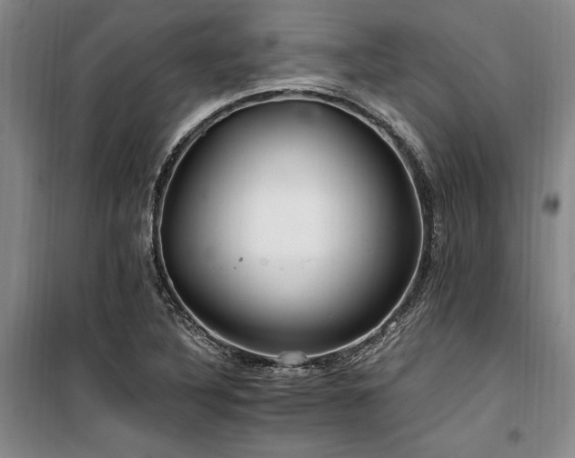 X0000100201316200805301301