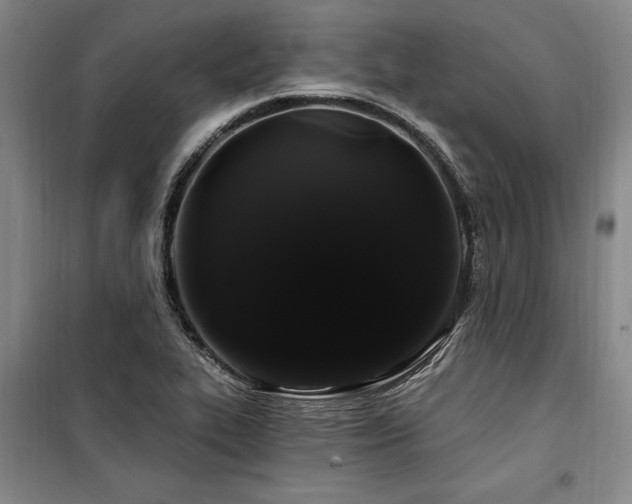 X0000100201319200805301301