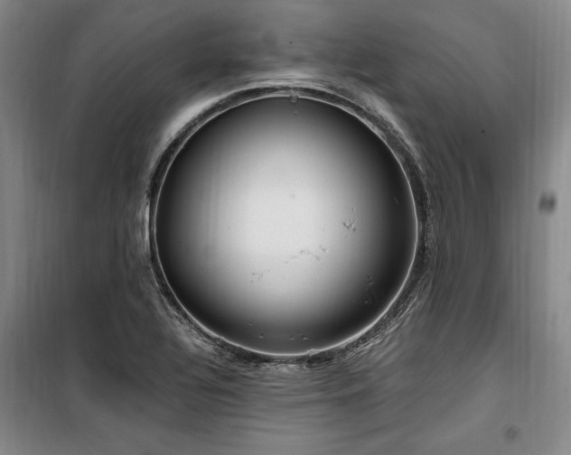 X0000100201320200805301301
