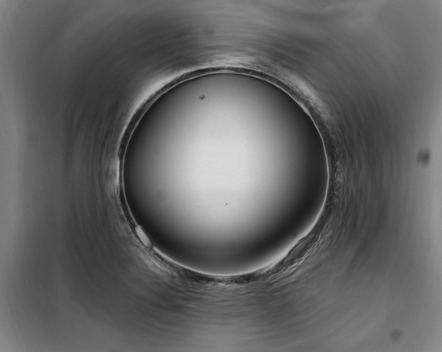 X0000100201324200805301301