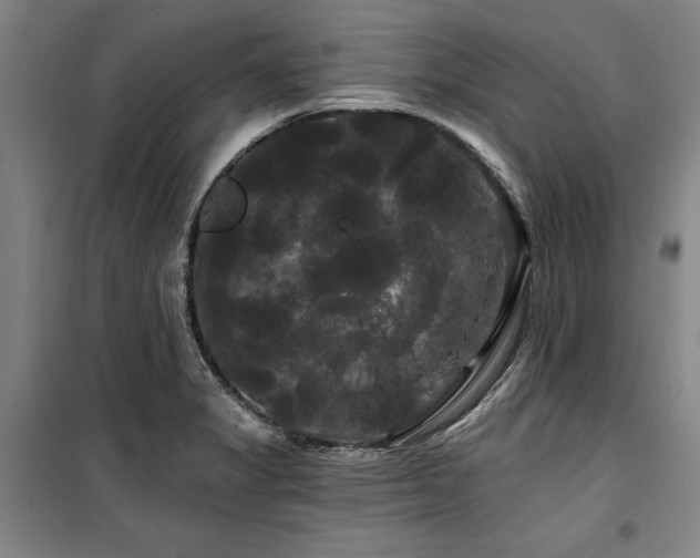 X0000100201325200805301301