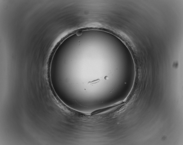 X0000100201326200805301301