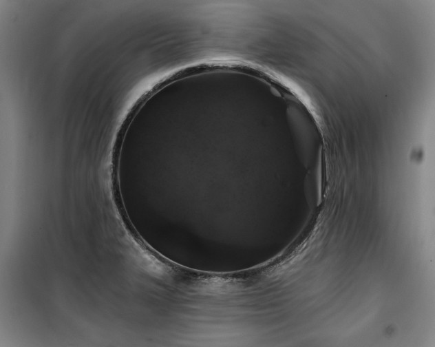 X0000100201327200805301301