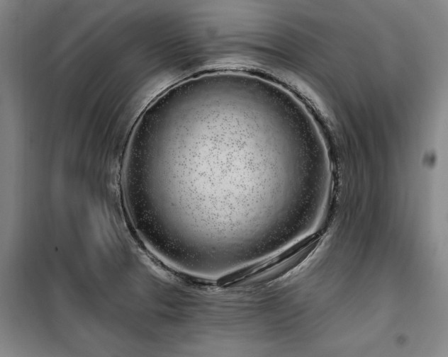 X0000100201329200805301301