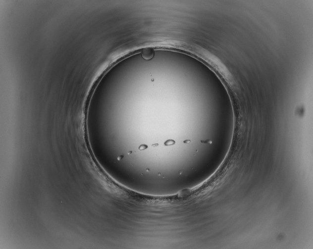 X0000100201332200805301301