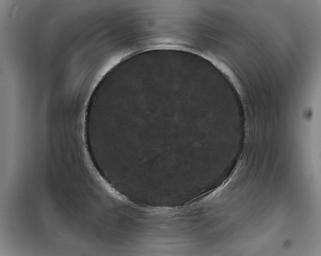 X0000100201333200805301301