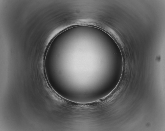 X0000100201336200805301301