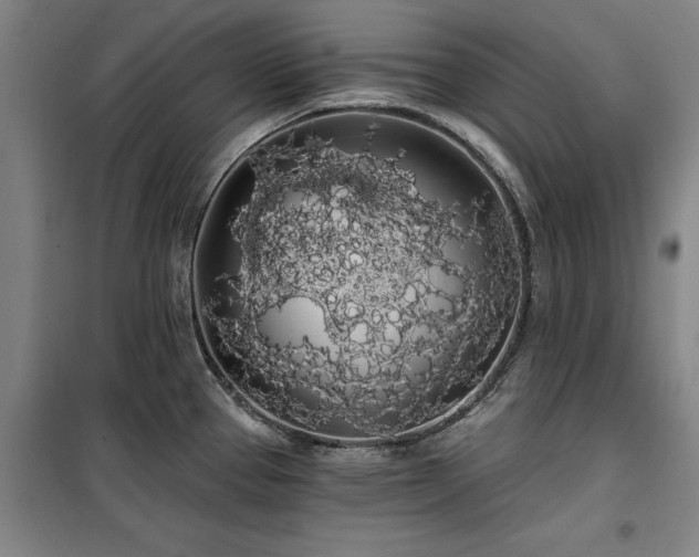 X0000100201337200805301301