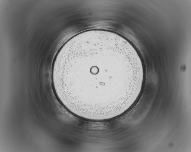 X0000100201338200805301301