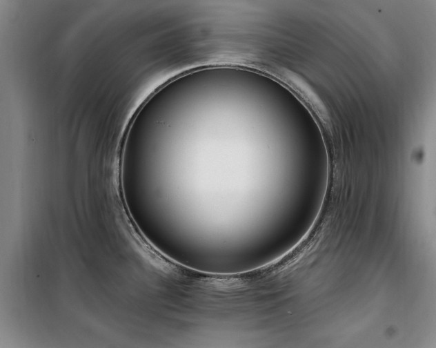 X0000100201340200805301301