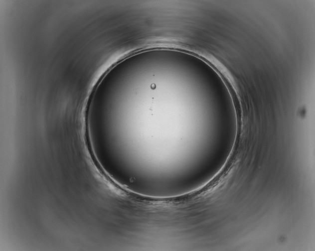 X0000100201341200805301301