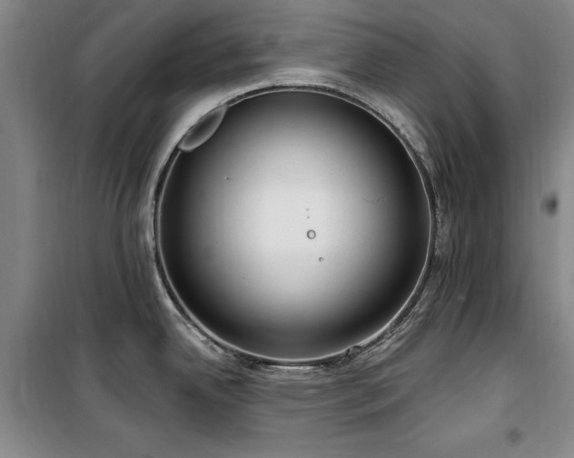 X0000100201342200805301301