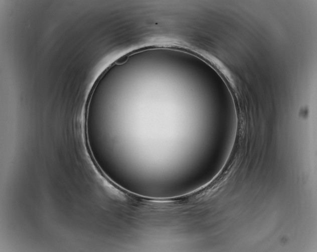 X0000100201343200805301301