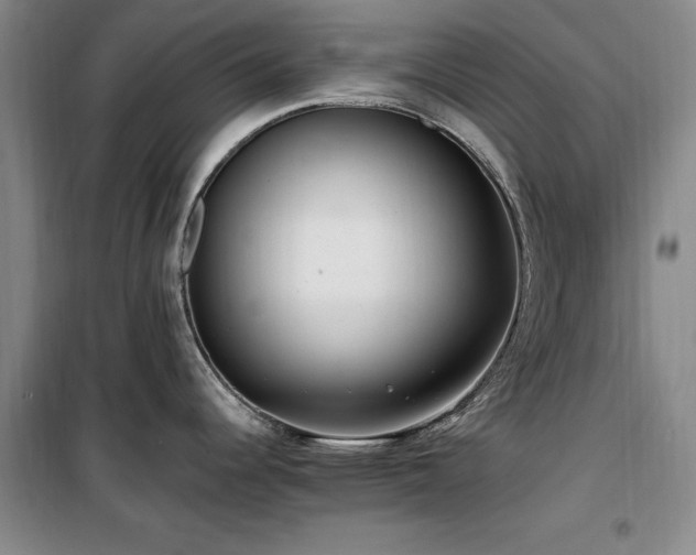 X0000100201344200805301301