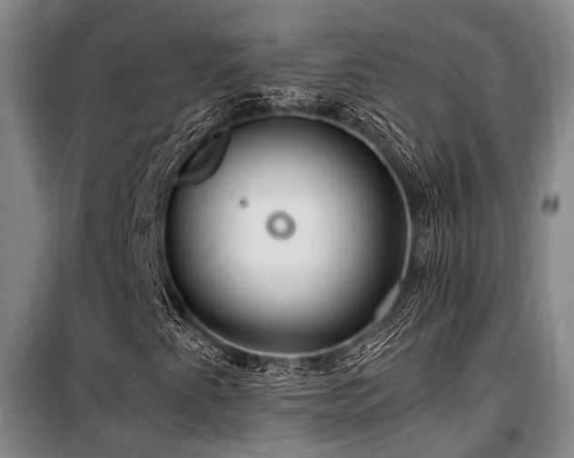 X0000100201345200805301301