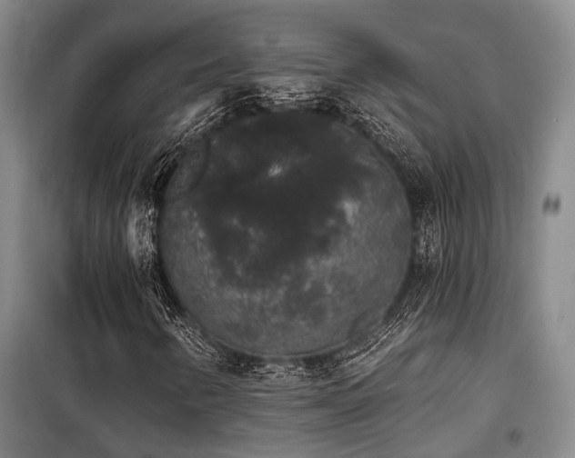 X0000100201346200805301301