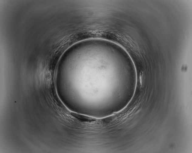 X0000100201347200805301301