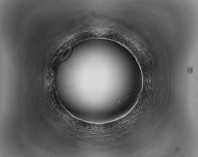 X0000100201349200805301301